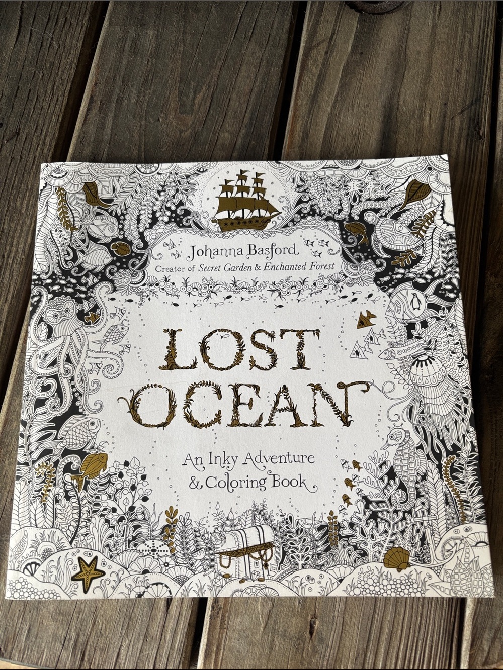 Adventure coloring book